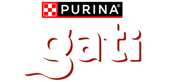 Gati